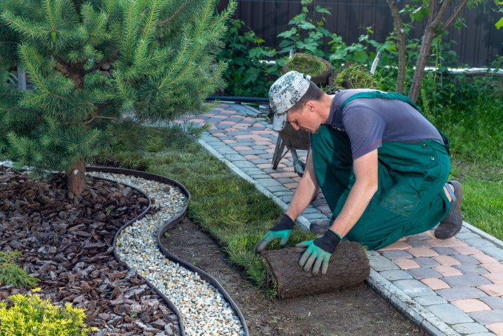 An image of Landscaping Services in Gaithersburg, MD